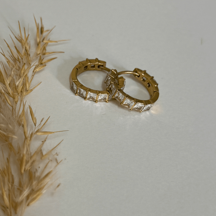 Untitled-5_0021_IMG_6301