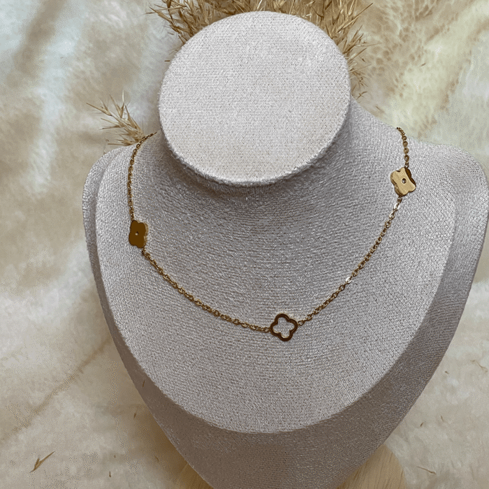 Untitled-5_0028_IMG_6166