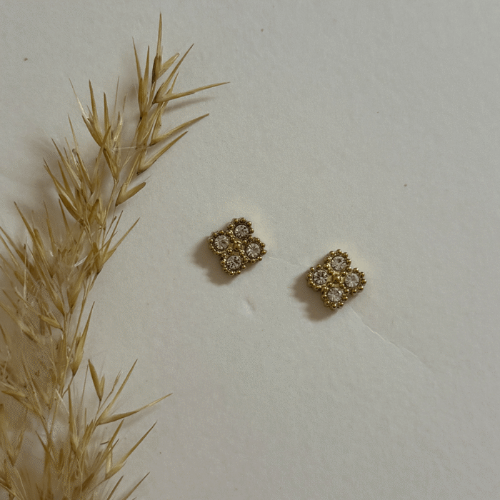 Untitled-5_0032_IMG_6320